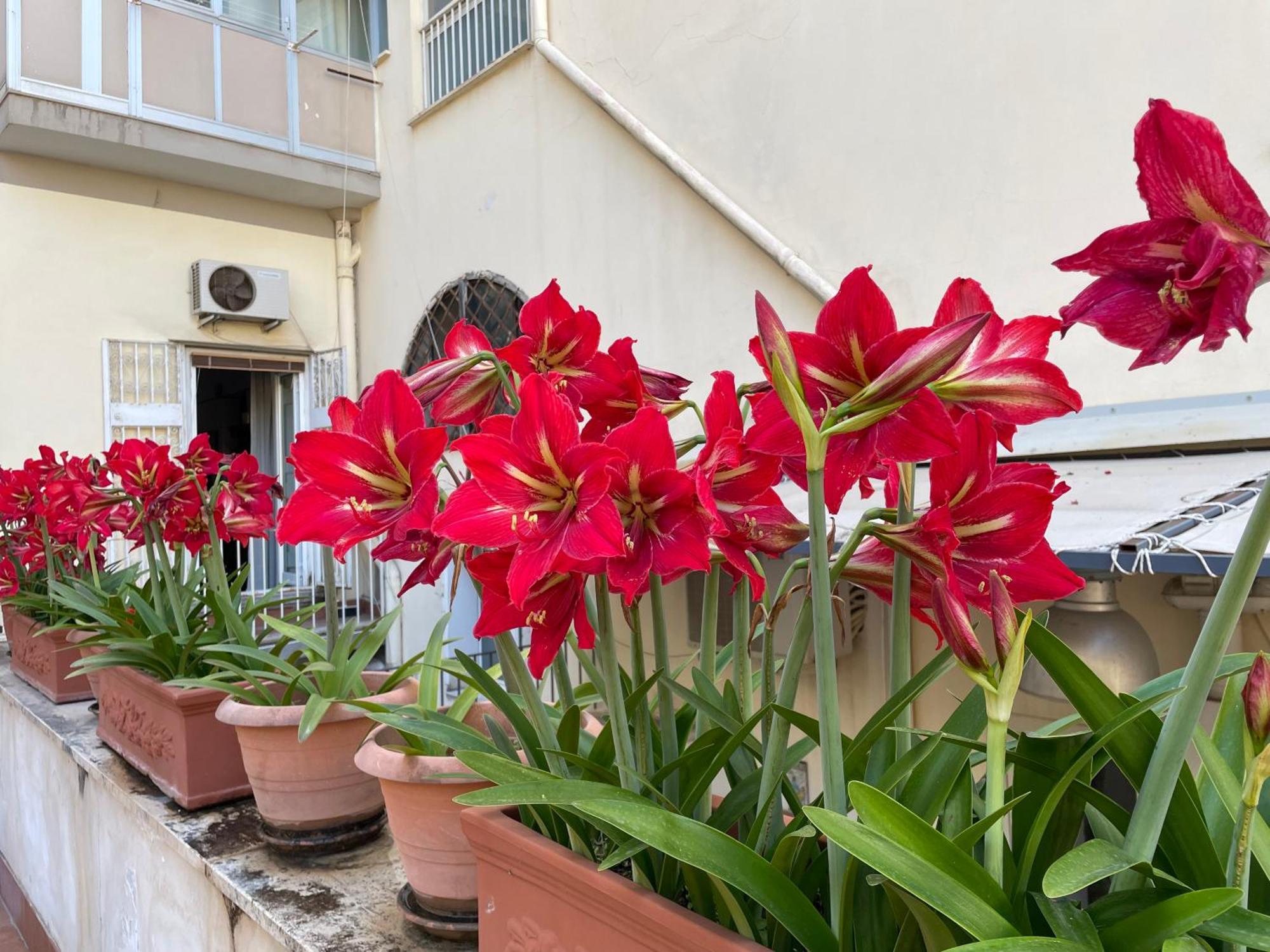 Ferienwohnung Il Giglio Rosso Neapel Exterior foto